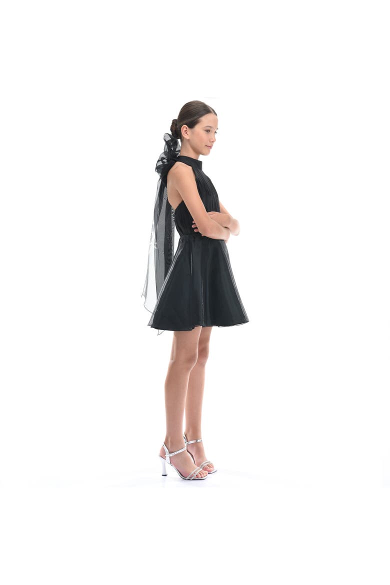 Tivoli Dress, Alternate, color, Black