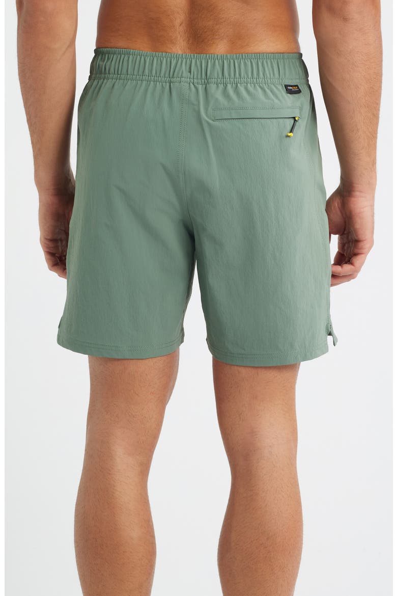 All-Purpose Cordura® Water Repellent Hybrid Shorts, Alternate, color, DARK SAGE