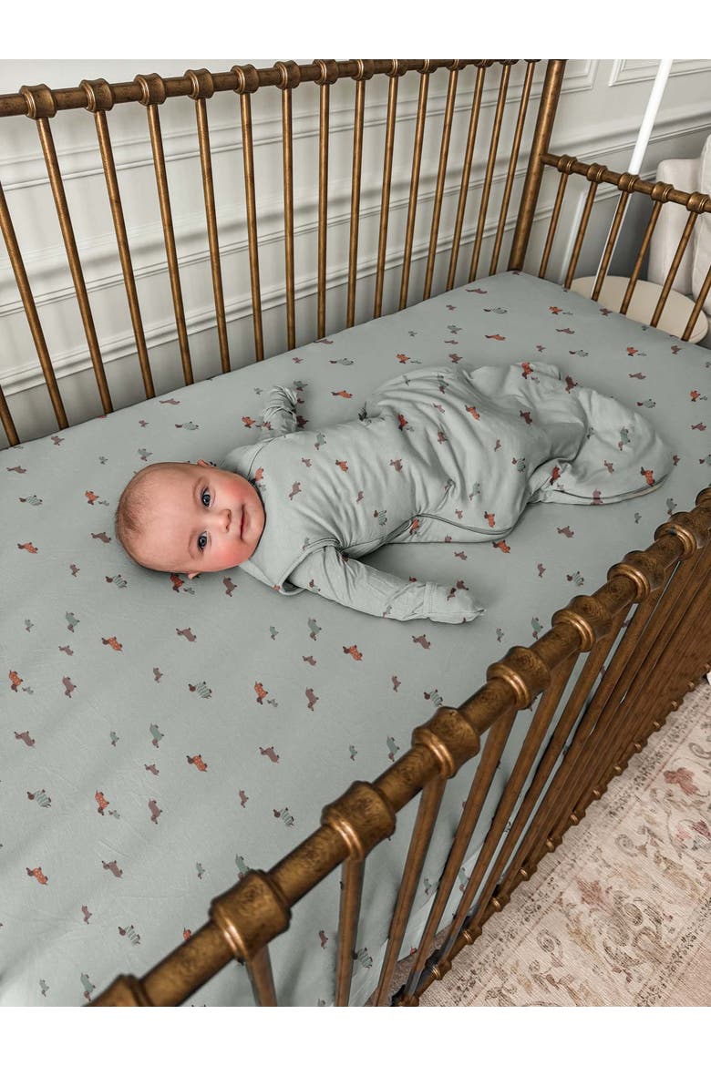 Transitional Swaddle Sleep Bag, 1.0 TOG - Baby, Alternate, color, Woof