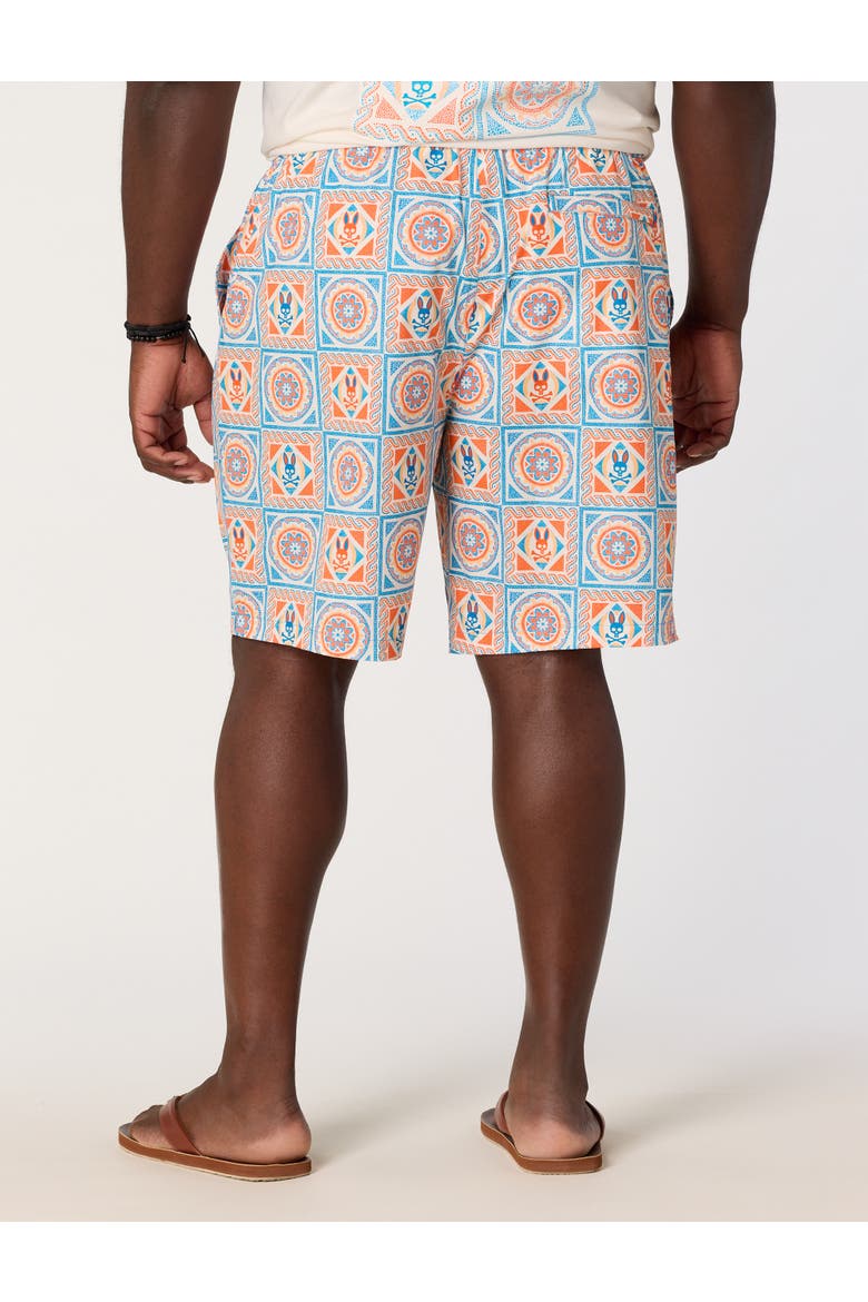 Big & Tall Frank Swim Trunks, Alternate, color, MULTI