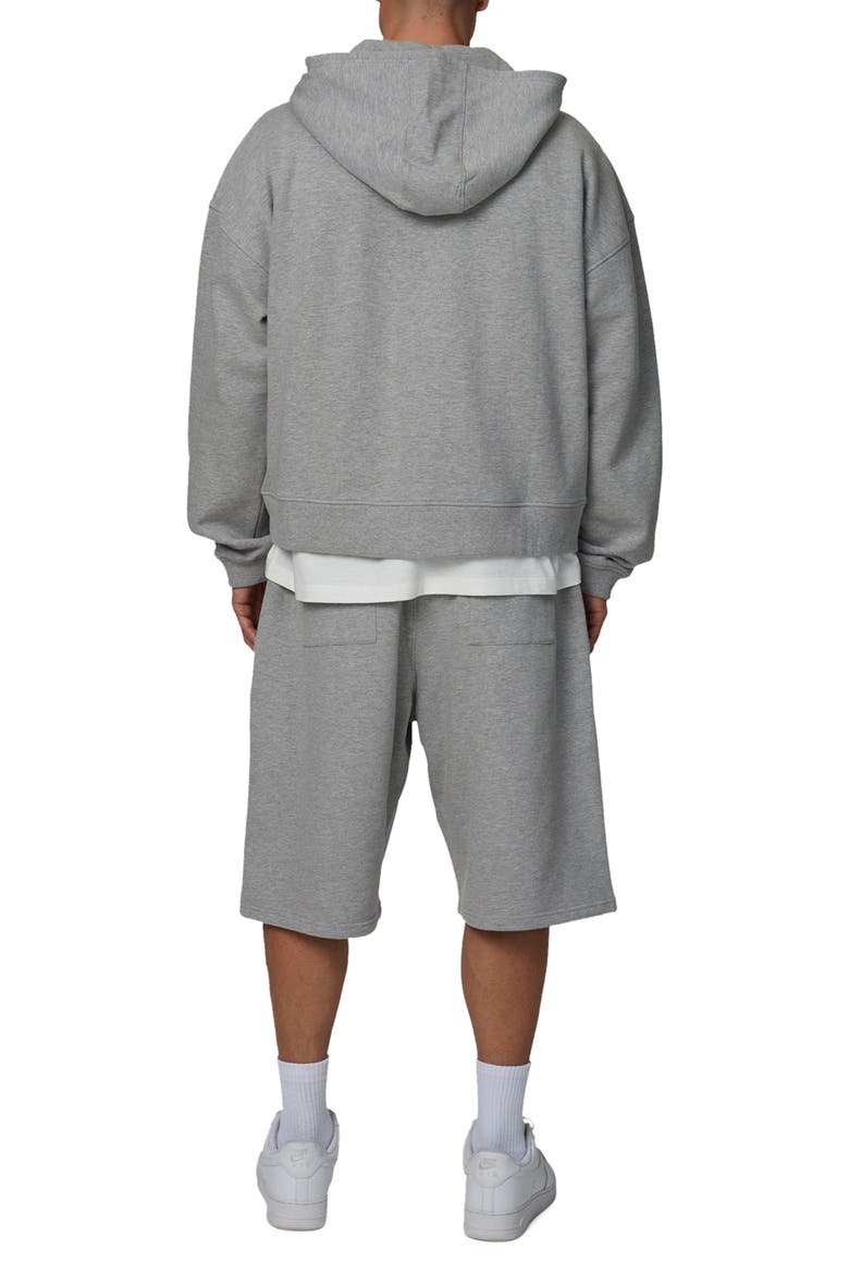 Boxy-Fit Zipped Icarus Hoodie, Alternate, color, Grey
