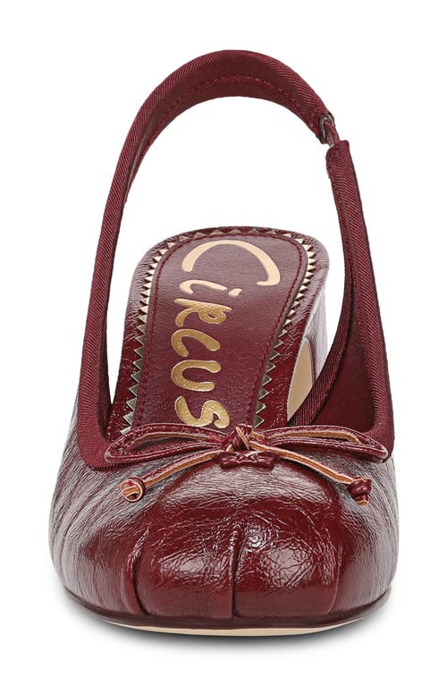 Circus Ny By Sam Edelman Diane Slingback Pump In Burgundy