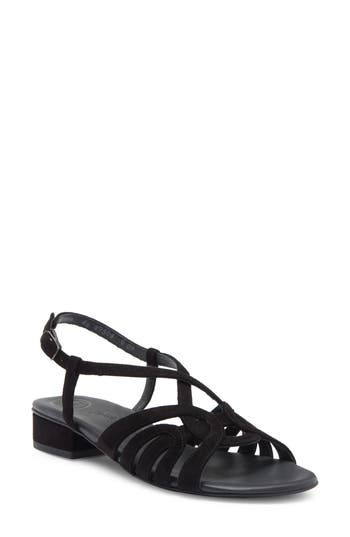 Paul Green Rumi Sandal In Black Royal Velour