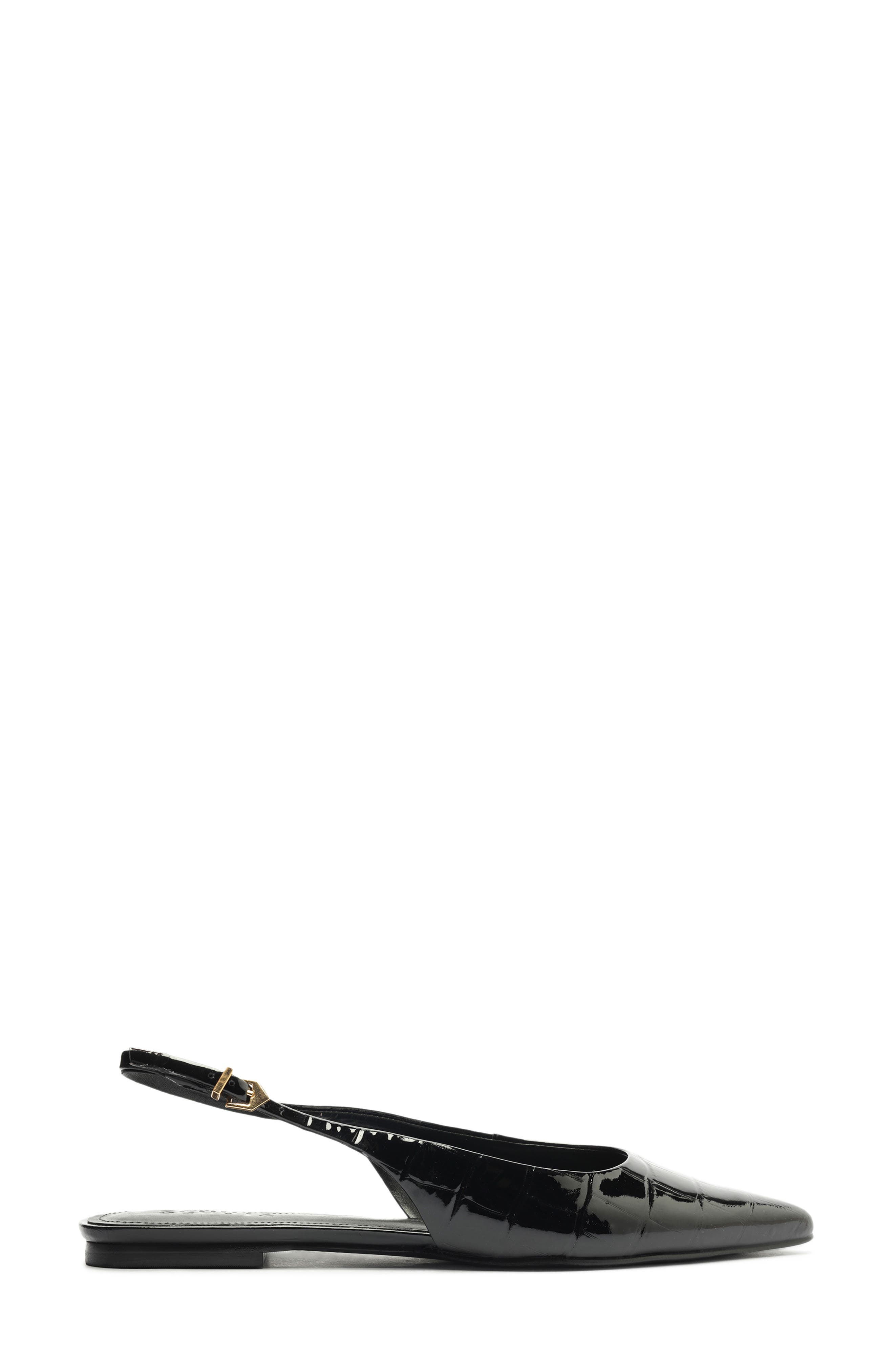 Schutz Paola Slingback Pointed Toe Ballet Flat, Alternate, color, 