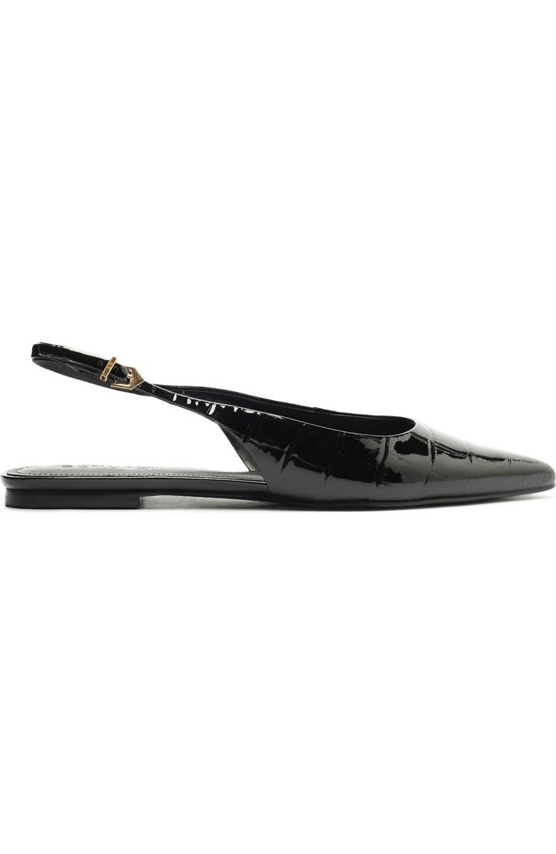 Schutz Paola Slingback Pointed Toe Ballet Flat, Alternate, color,