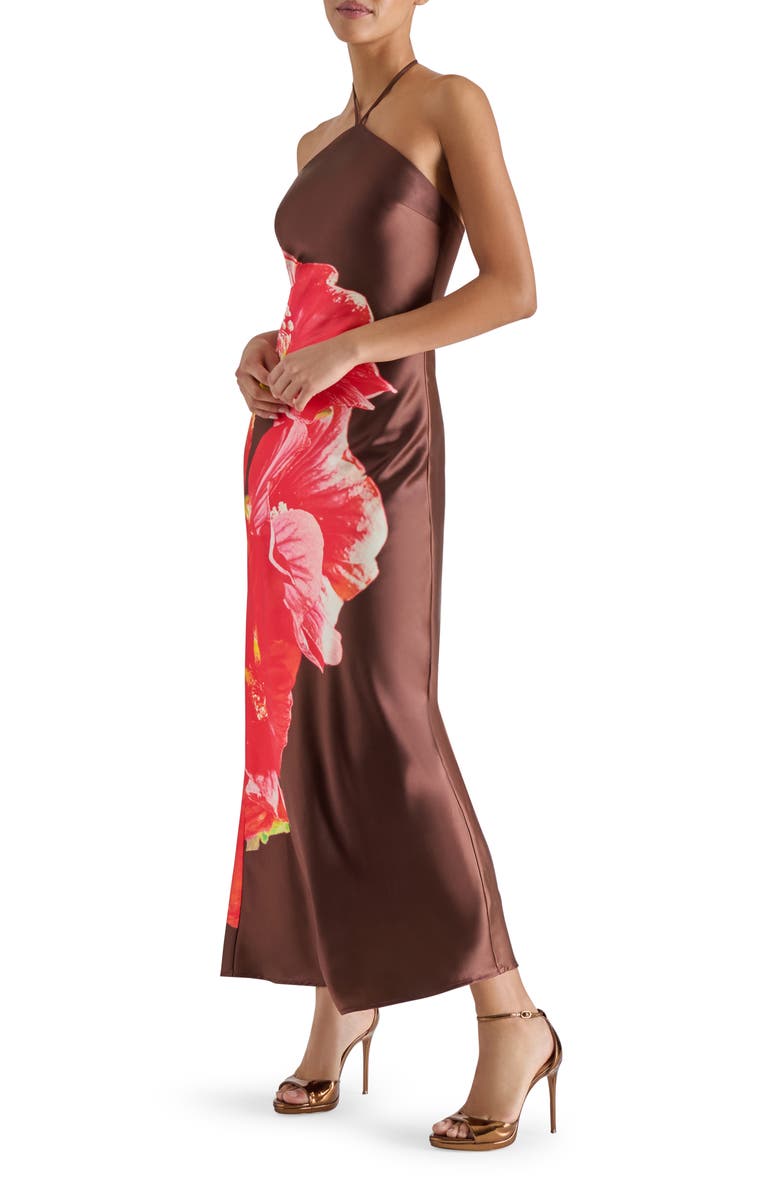 Steve Madden Floral Satin Halter Maxi Dress, Alternate, color, Burnt Umber