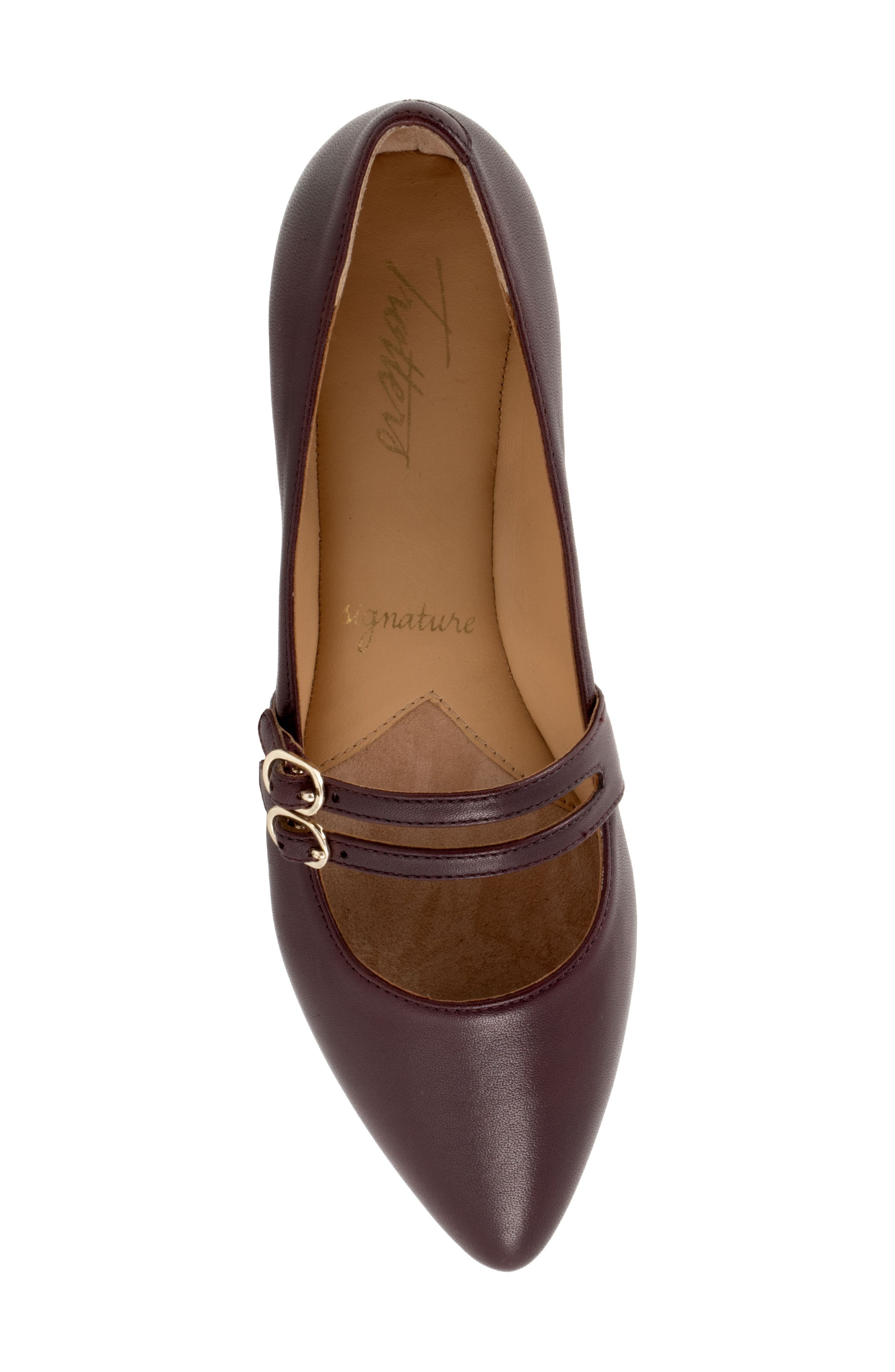 Emerald Pointed Toe Mary Jane Flat, Alternate, color, OXBLOOD