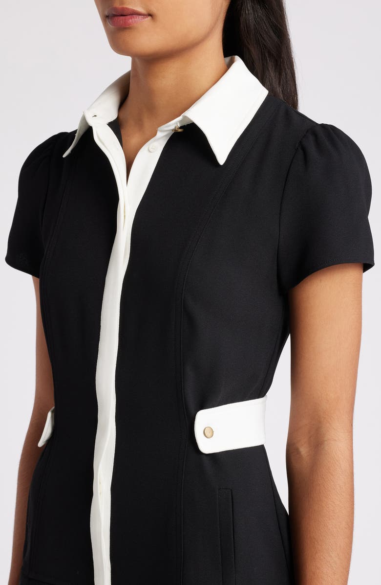 CeCe Puff Sleeve Fit & Flare Shirtdress, Alternate, color, Rich Black