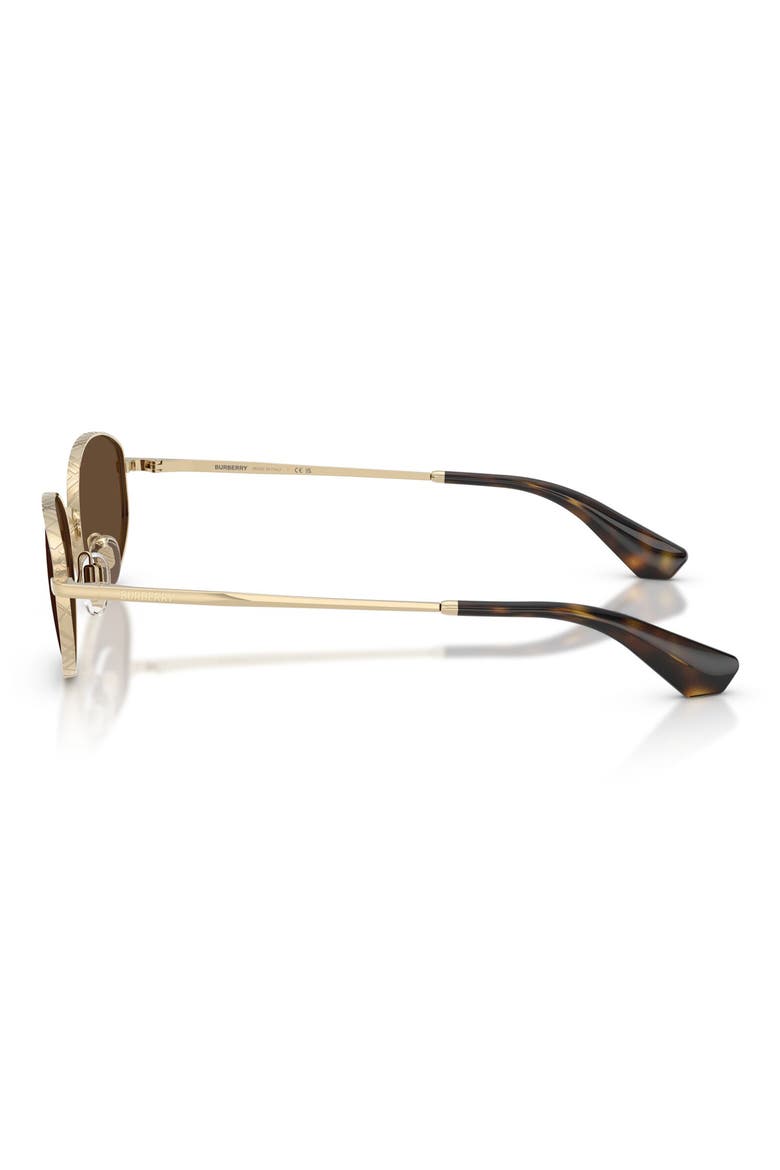 55mm Oval Sunglasses, Alternate, color, LIGHT GOLD / DARK BROWN