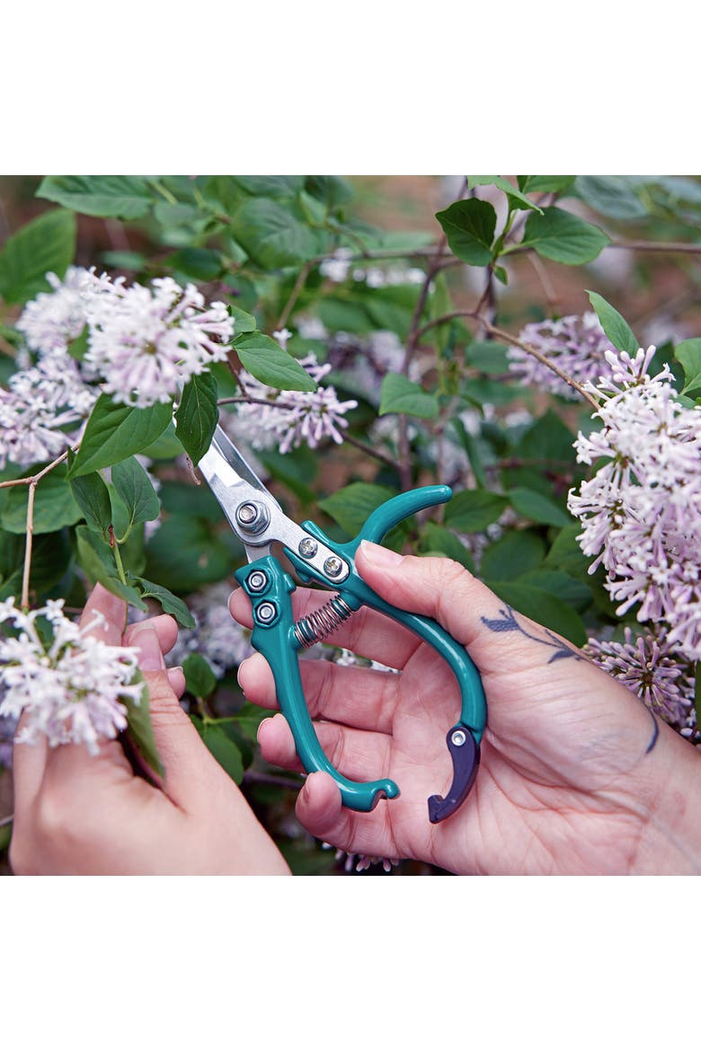2pk Shears + Pruners, Alternate, color, Ocean