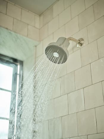 The Jolie Filtered Shower Head