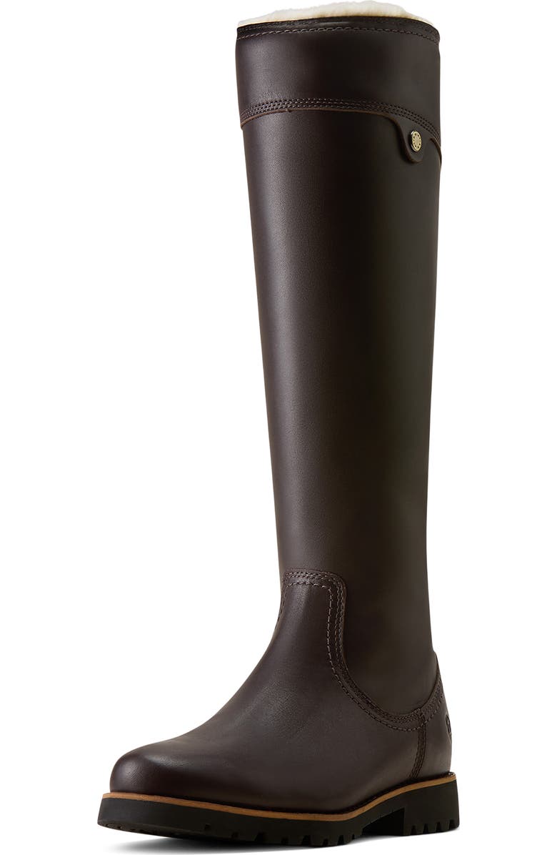 Ariat Arlington Waterproof Tall Boot, Alternate, color, Brown