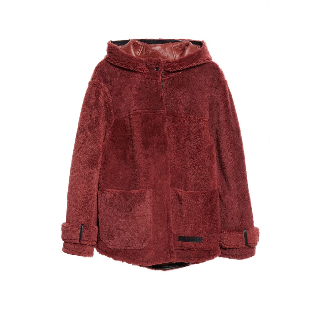 Marni Genuine Shearling Hooded Jacket In Burgundy