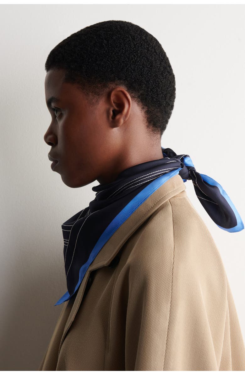 COS Embroidered Silk Scarf, Alternate, color, 