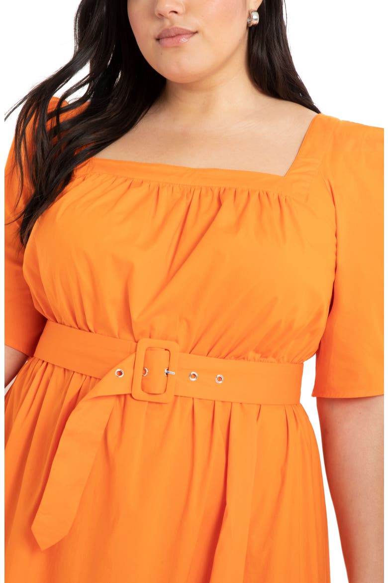 Belted Stretch Poplin Dress, Alternate, color, AMBER GLOW