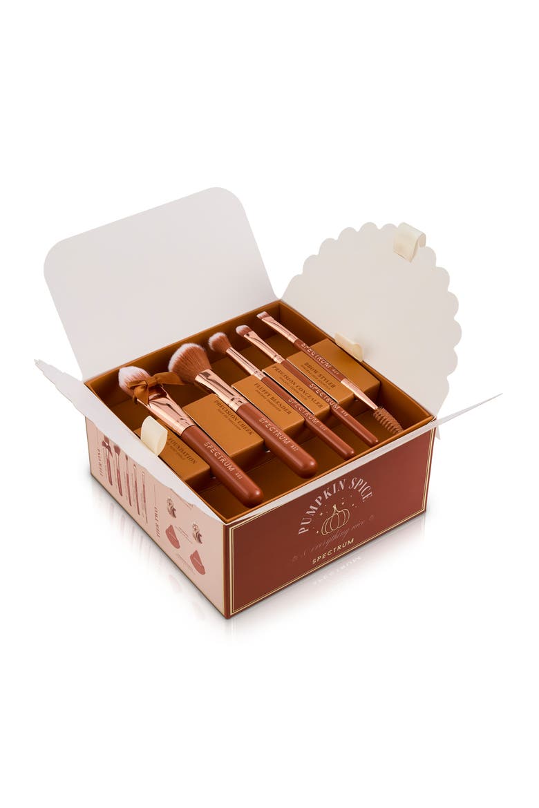 Pumpkin Spice 9-Piece Makeup Brush & Sponge Set, Alternate, color, ORANGE