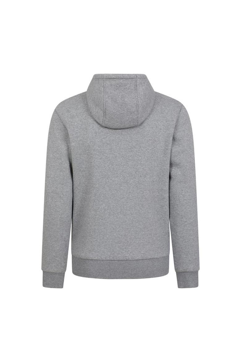 Dalton Borg Lined Full Zip Hoodie, Alternate, color, Gray