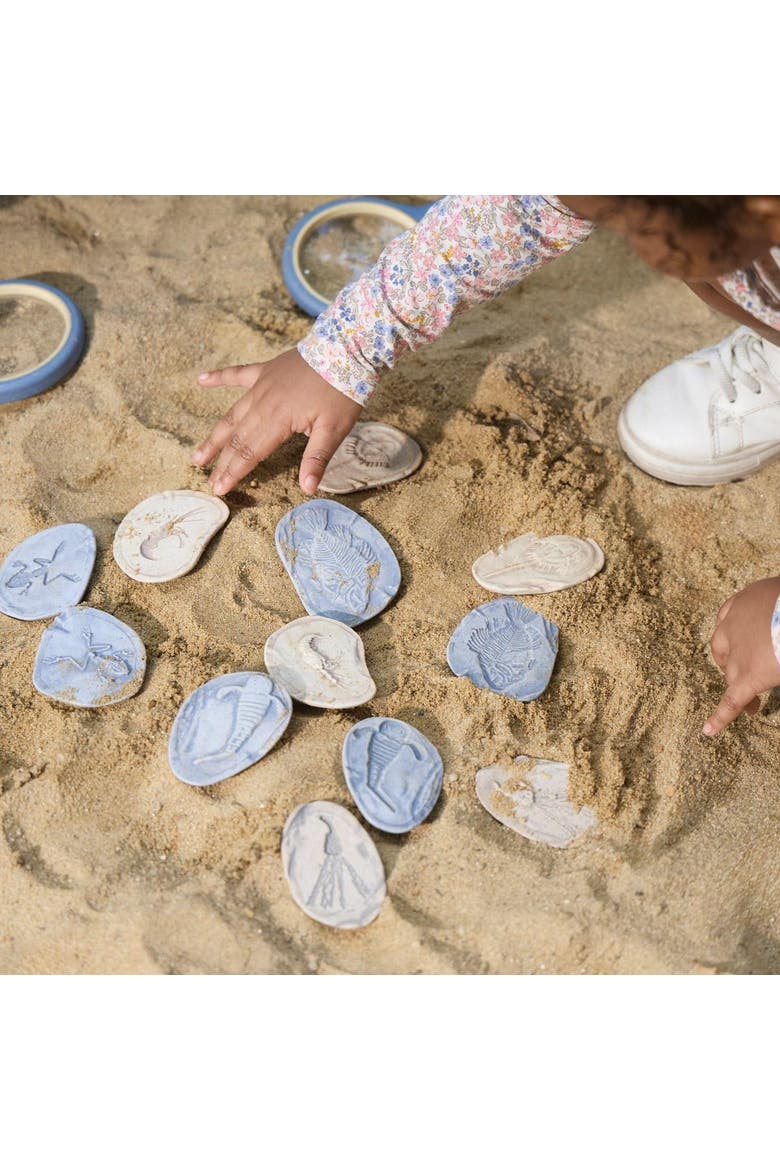 Magnetic Matching Aquatic Life Fossil Stones - Set of 8, Alternate, color, Gray