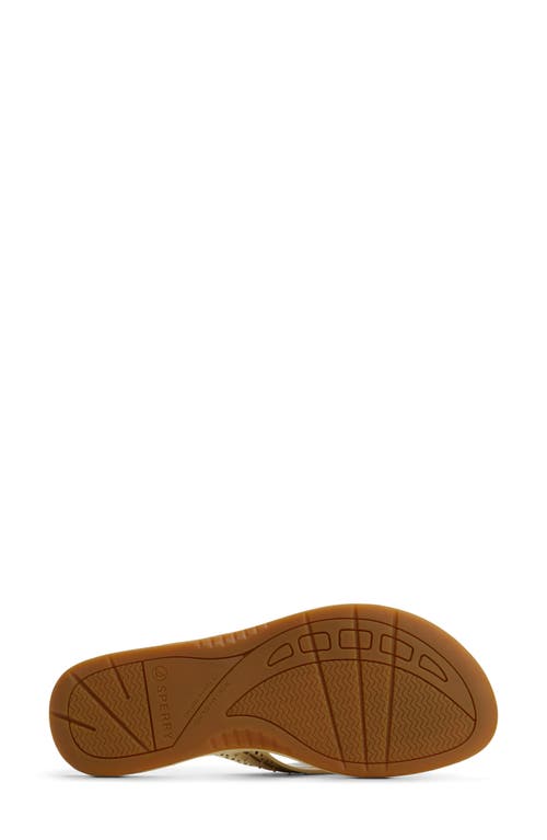 SPERRY SPERRY SEAFISH 3 PERFORATED FLIP FLOP