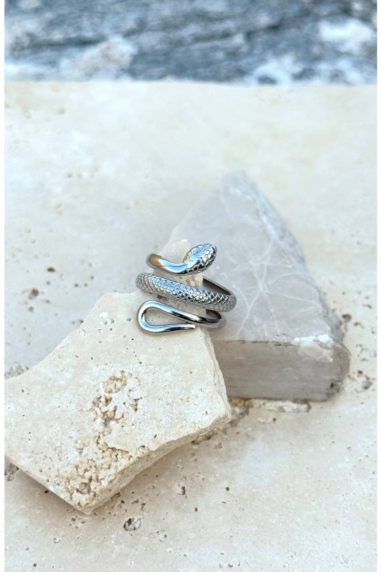 Curvy Snake Band Ring, Alternate, color, SILVER