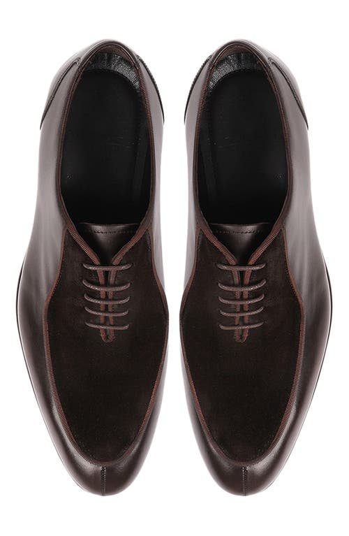 Vellapais Ovalo Oxford In Dark Brown