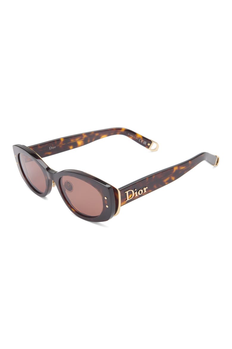 B1U Oval Sunglassses, Alternate, color, DARK HAVANA / BROWN