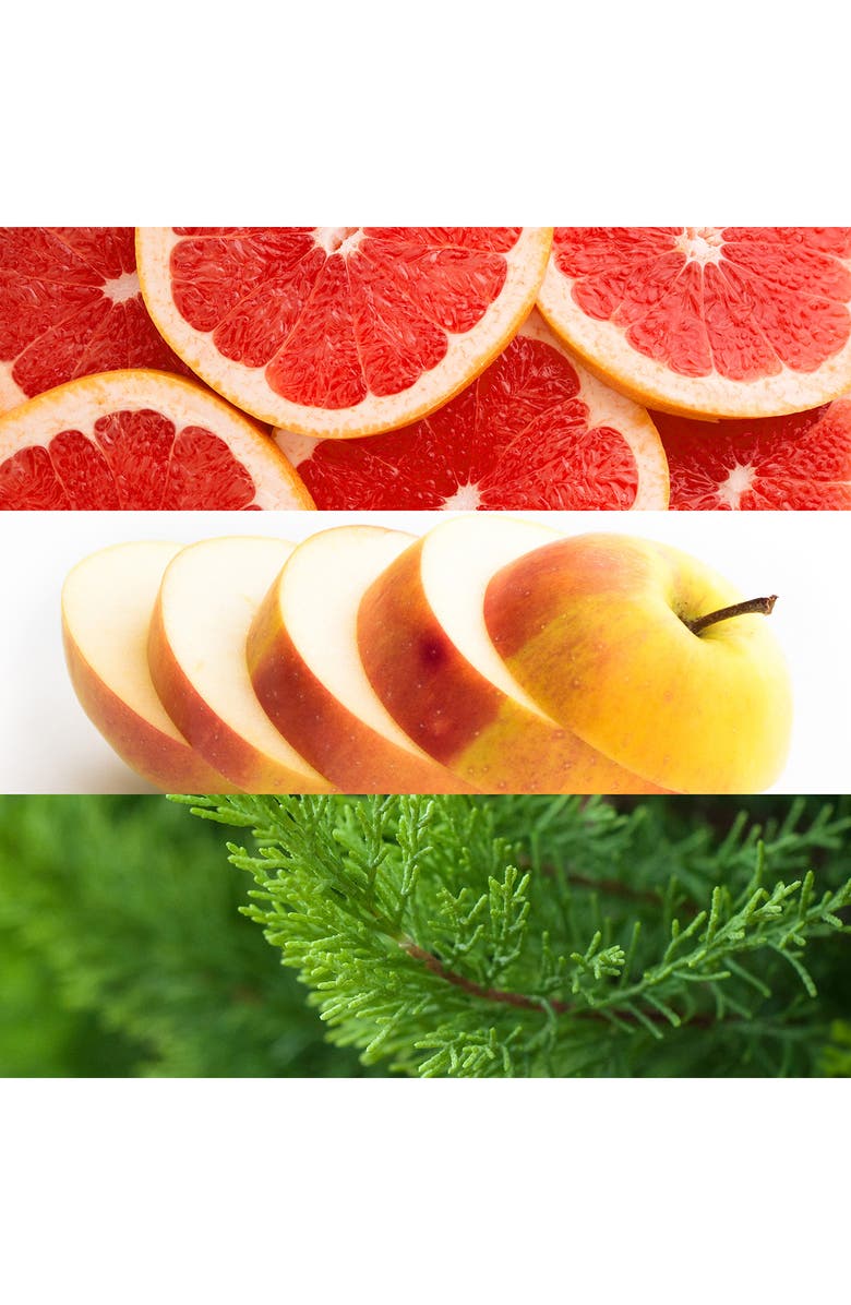 Lacoste Jaune L.12.12 Eau de Toilette Spray for Men - 100mL, Alternate, color, 