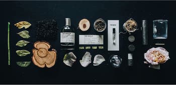 Le Labo Thé Noir 29 Eau de Parfum | Nordstrom