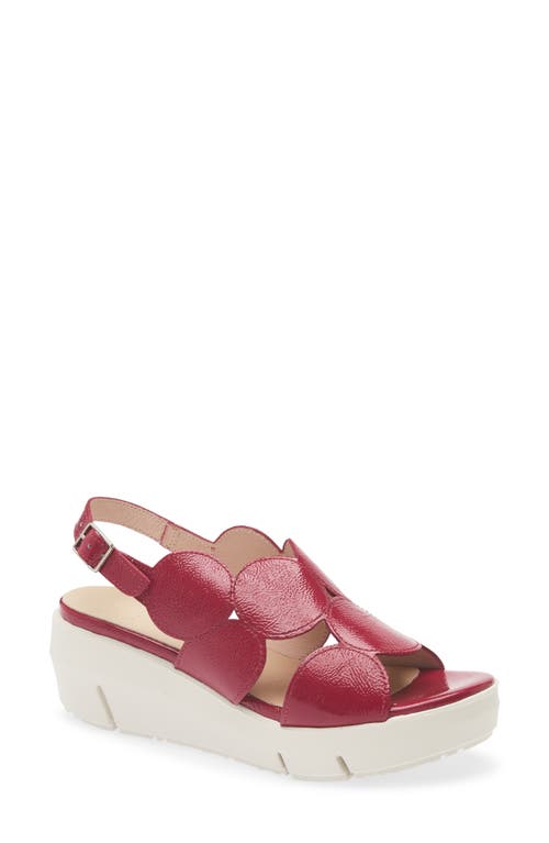 Wonders Platform Sandal In Lack Berry