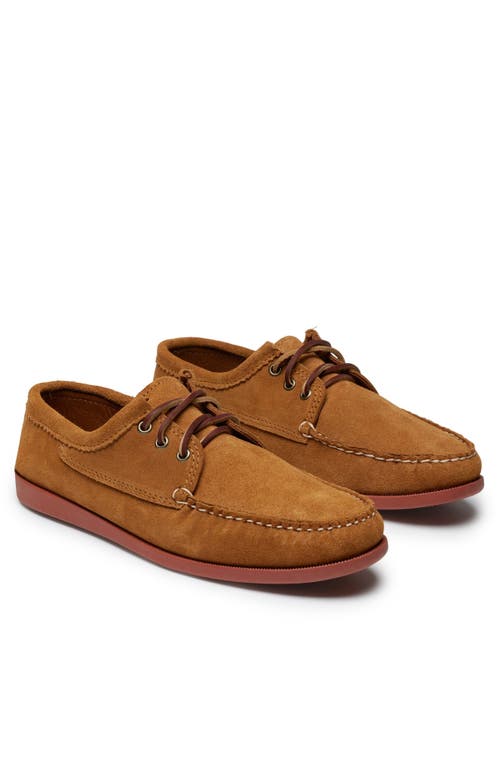 Quoddy Blucher Shoe In Brown