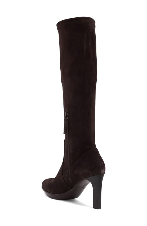 Aquatalia Rhumba Knee High Boot In Brown