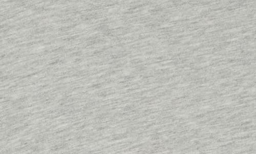 Buck Mason Boxy Long Sleeve Crop T-shirt In Gray