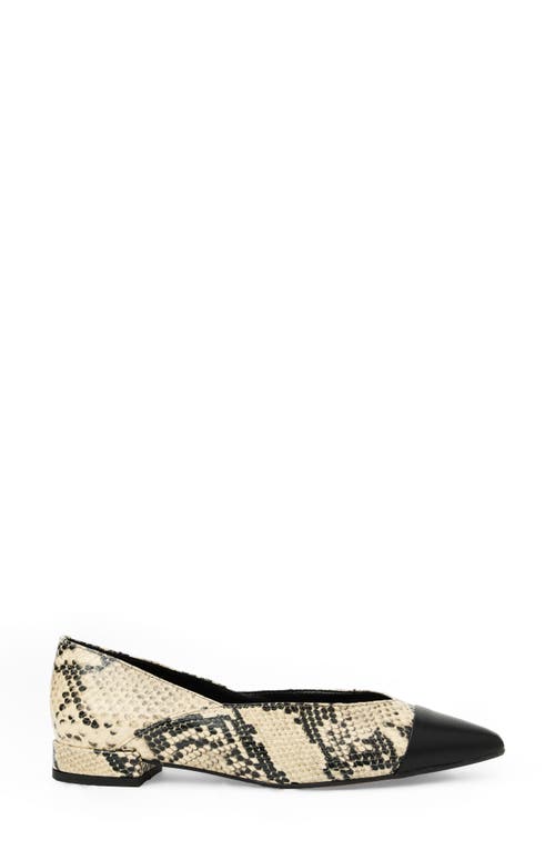 Bruno Magli Parma Pointed Toe Flat In Multi