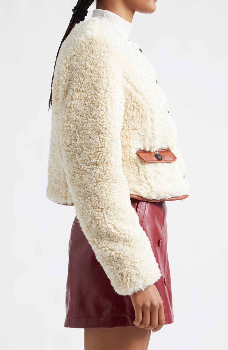 Cinq à Sept Naia Faux Shearling Jacket, Alternate, color,