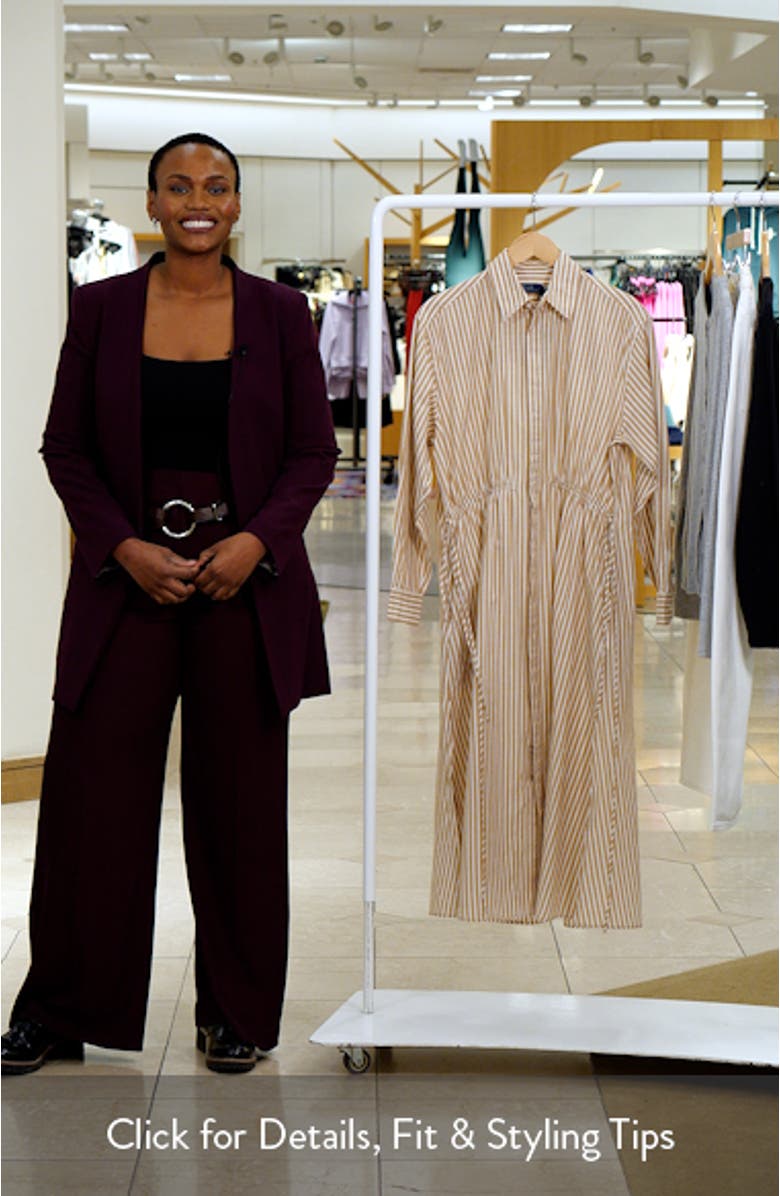 Long Sleeve Stripe Shirtdress, sales video thumbnail