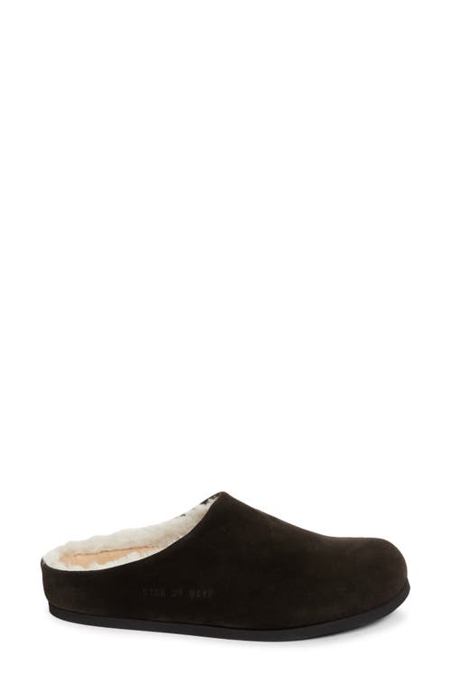 Common Projects Debossed Clog In Coffee