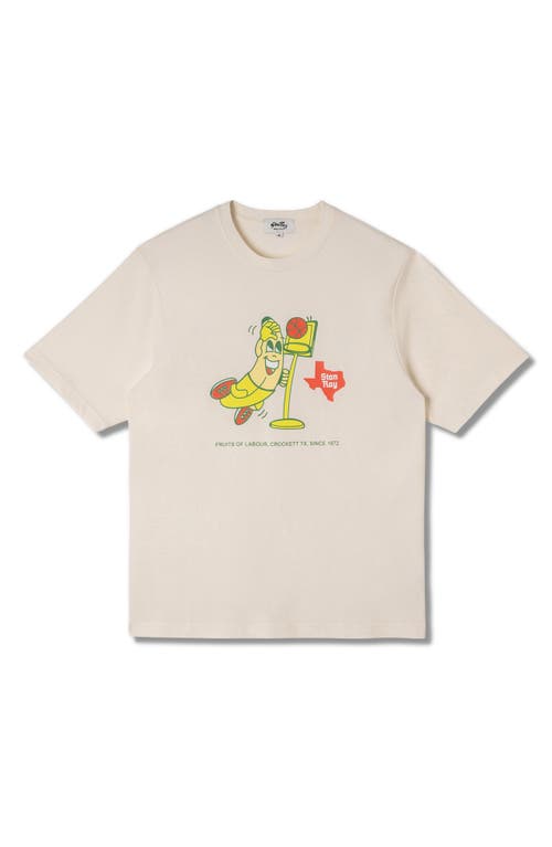 Stan Ray Stan Dunk Cotton Graphic T-shirt In Natural