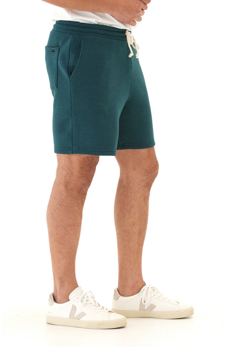 Garrett Drawstring Fleece Shorts, Alternate, color, SERRANO