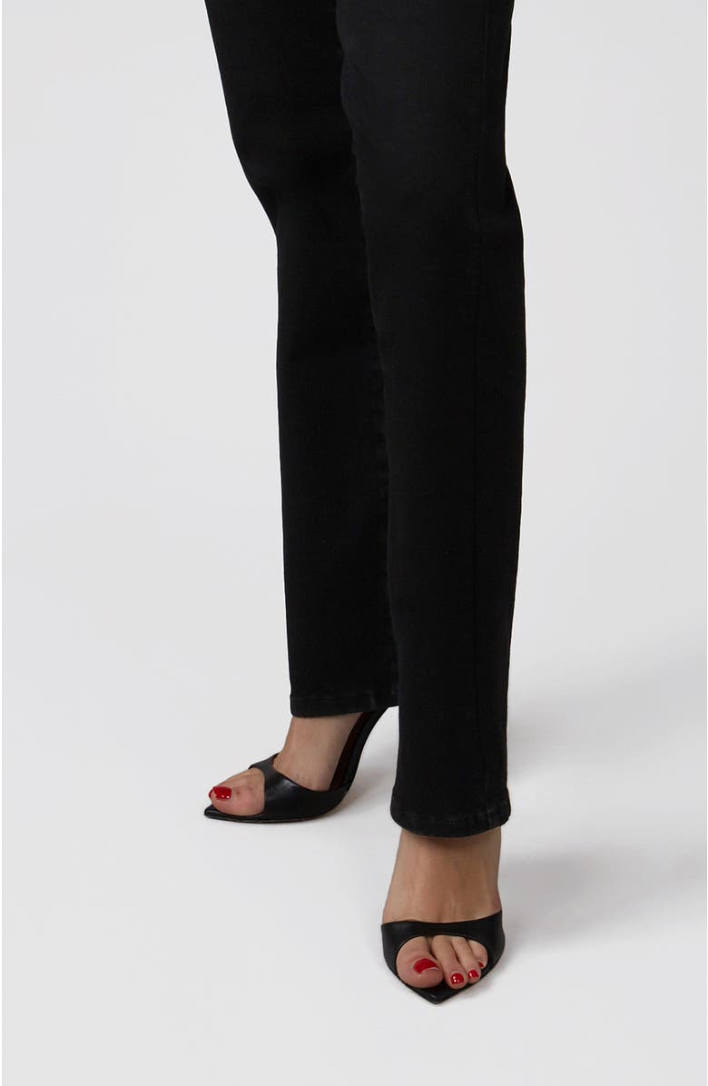 Lola Jeans Denver High Rise Straight Leg Jeans, Alternate, color, 