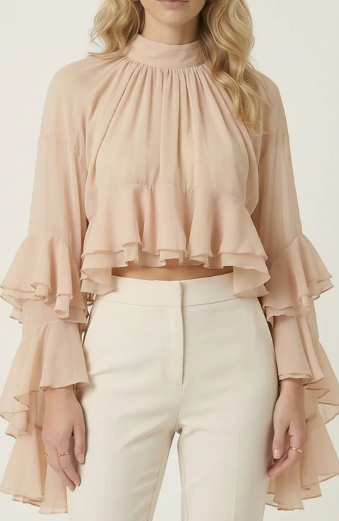Sheer Ruffle Sleeve Blouse
