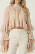 Modenaire Sheer Ruffle Sleeve Blouse