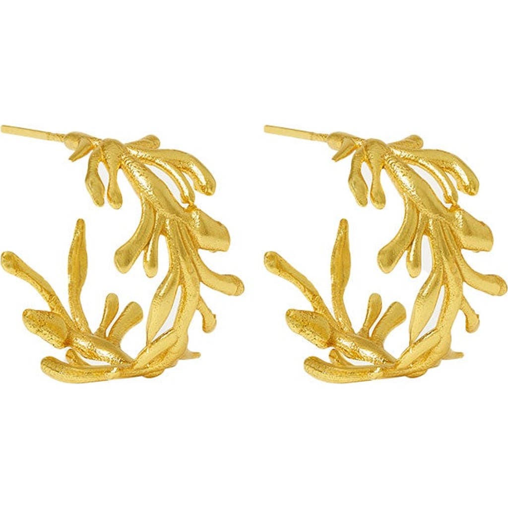 Ottoman Hands Zephyr Hoop Earrings In Gold