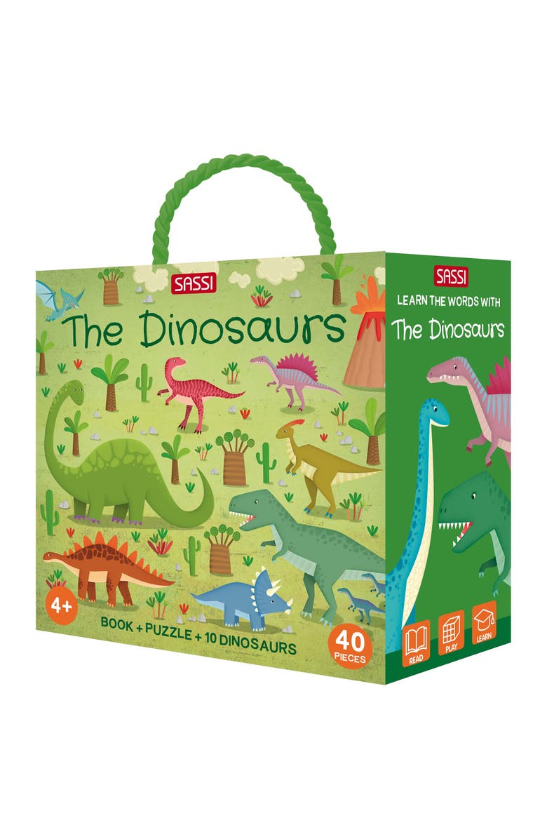 Sassi Q Box The Dinosaurs Read Play Learn Jurassic 40 Piece Set, Main, color, Multicolored