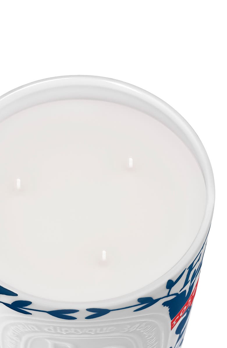 Diptyque Roses Large Scented Candle, Alternate, color, 