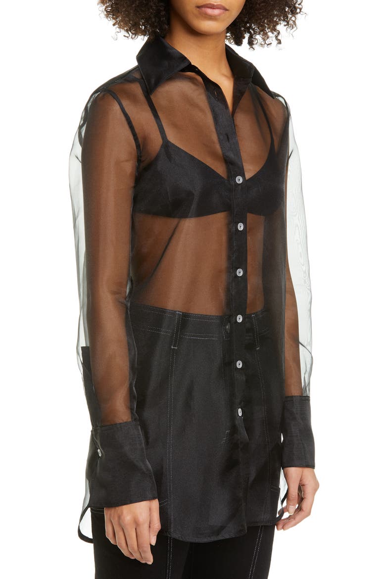 Rowena Sheer Long Sleeve Shirt, Alternate, color, BLACK