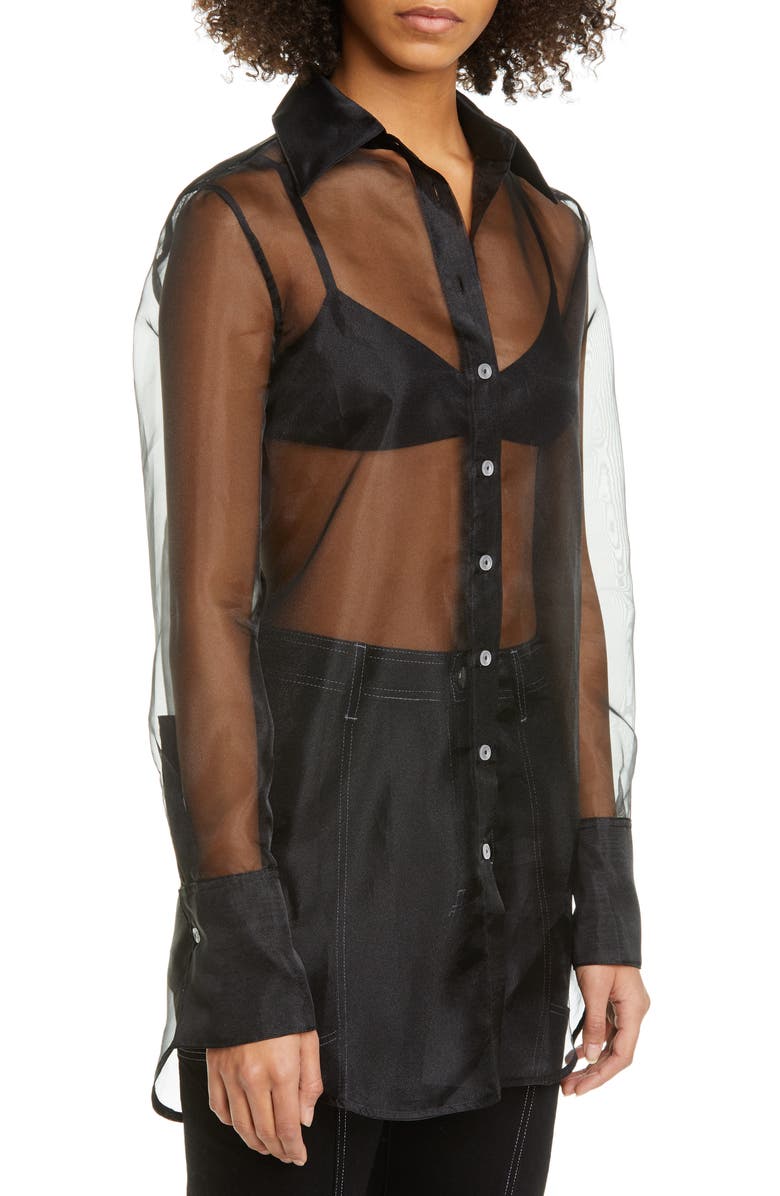 Simon Miller Rowena Sheer Long Sleeve Shirt, Alternate, color, 