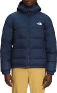 The North Face Hydrenalite 550 Fill Power Down Hooded Jacket