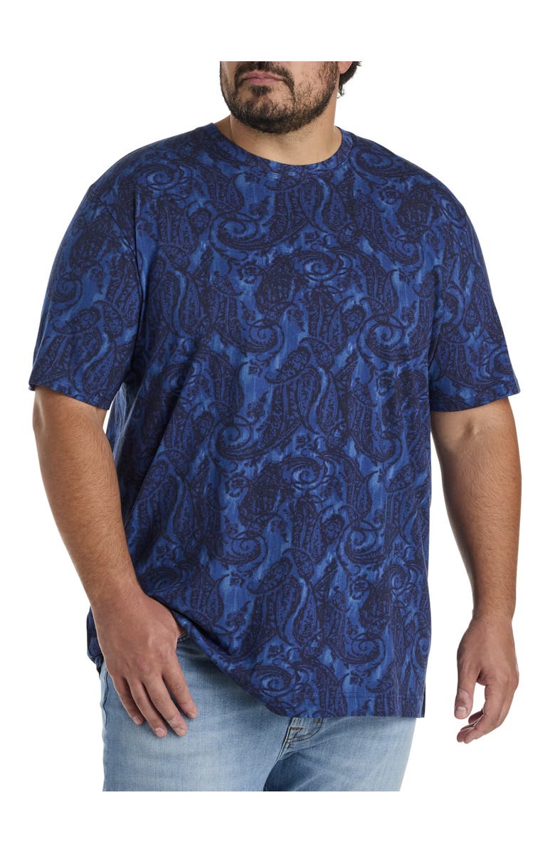 Robert Graham Big & Tall Bodhi T-Shirt, Main, color, Blue
