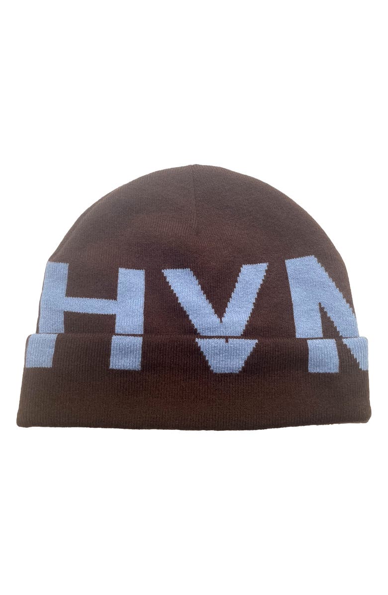 HVMAN Knit Cap, Main, color, Pinecone