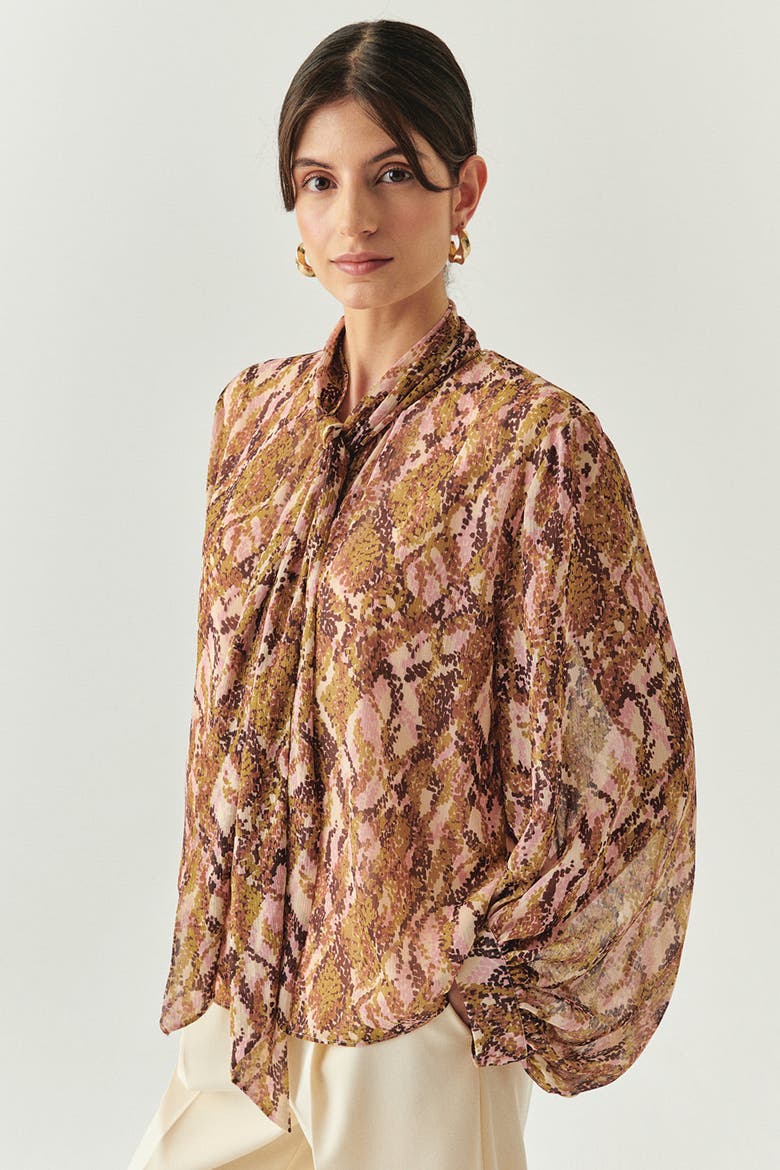 Sariyah Long Sleeve Blouse, Alternate, color, Brown